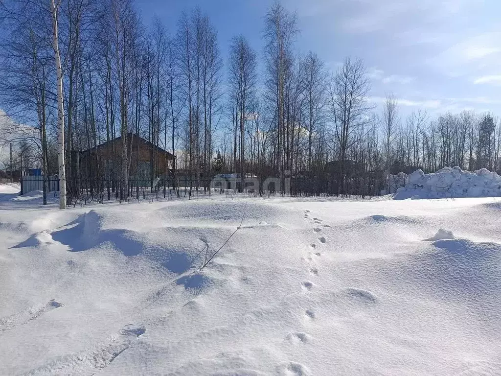 Участок в Ханты-Мансийский АО, Сургут Прибрежный-1 садовое ... - Фото 0