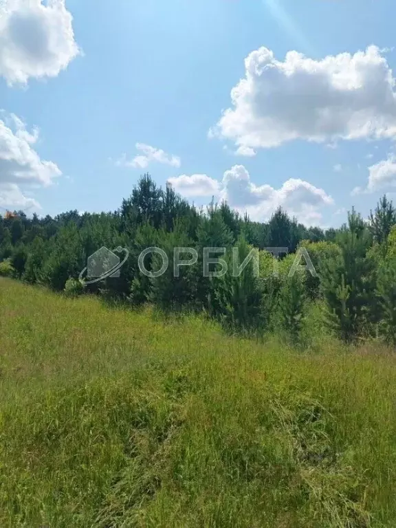 Участок в Тюменская область, Нижнетавдинский муниципальный округ, д. ... - Фото 2