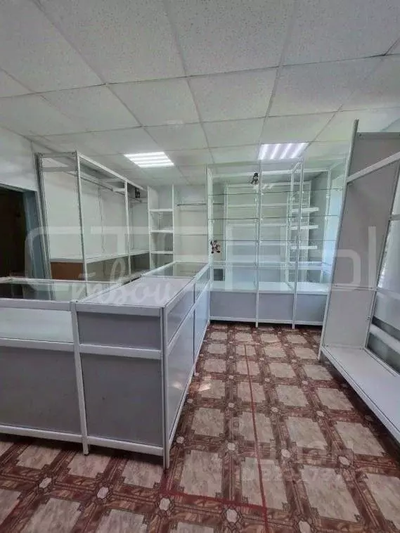 Помещение свободного назначения в Амурская область, с. Тамбовка ул. ... - Фото 2