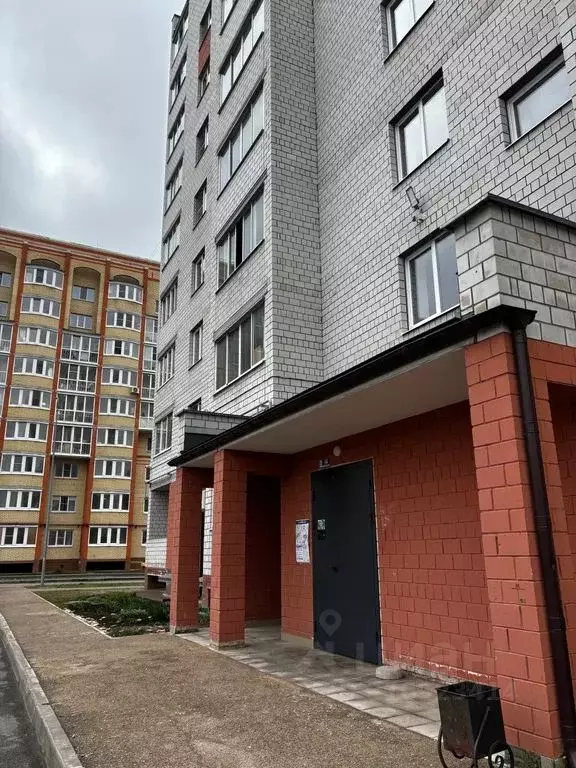 Студия Новгородская область, Великий Новгород ул. Ломоносова, 43 (41.0 ... - Фото 1