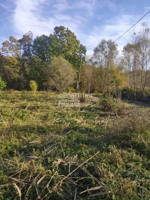 Участок в Приморский край, Надеждинский район, с. Вольно-Надеждинское ... - Фото 2