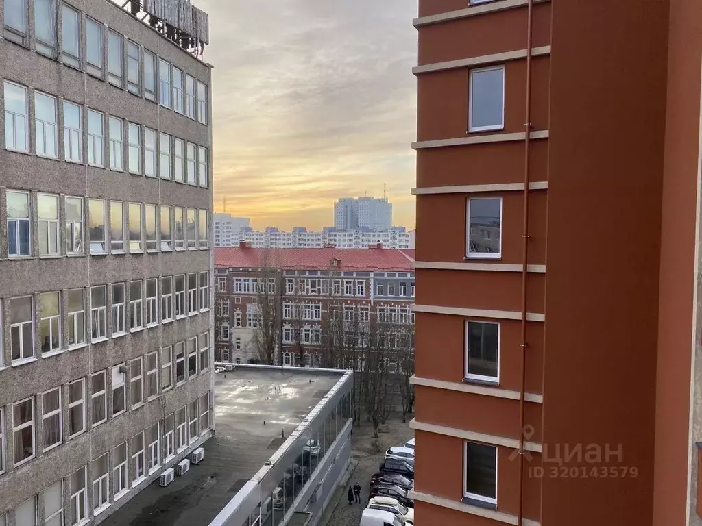 Офис в Калининградская область, Калининград ул. Фрунзе, 6В (31 м) - Фото 1