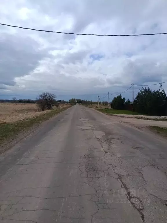 Участок в Новгородская область, Шимское городское поселение, д. Бор ... - Фото 2