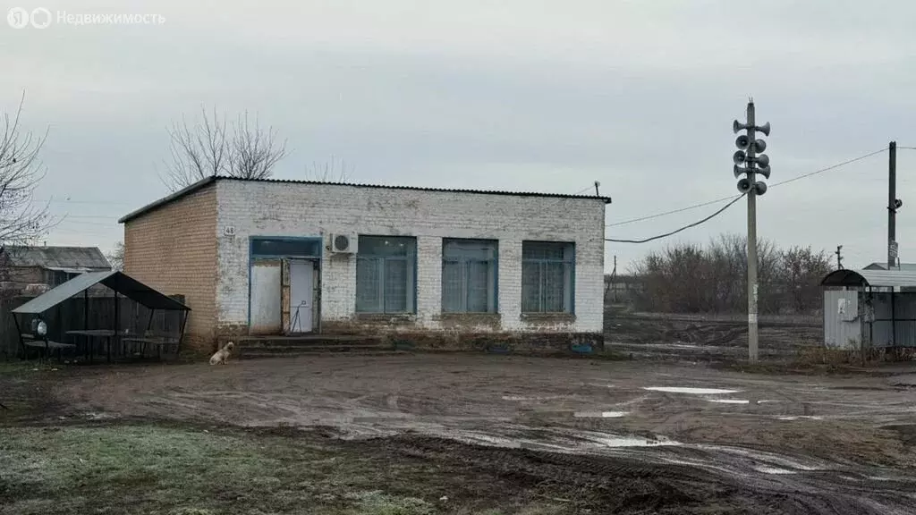 Торговая площадь (91.6 м) - Фото 1