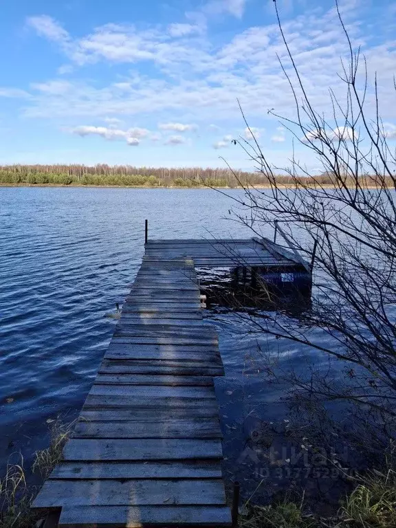 Дом в Свердловская область, Невьянский муниципальный округ, с. ... - Фото 2