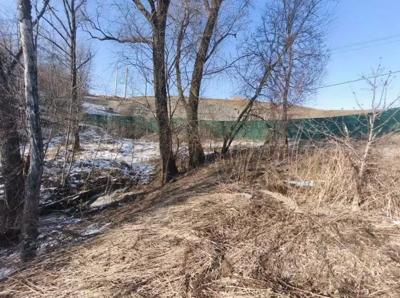Участок в Московская область, Химки городской округ, д. Подолино, ... - Фото 0