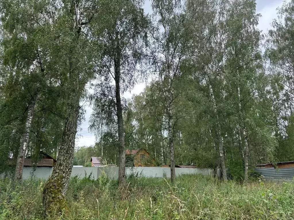Участок в Московская область, Серпухов городской округ, д. Тульчино, ... - Фото 0
