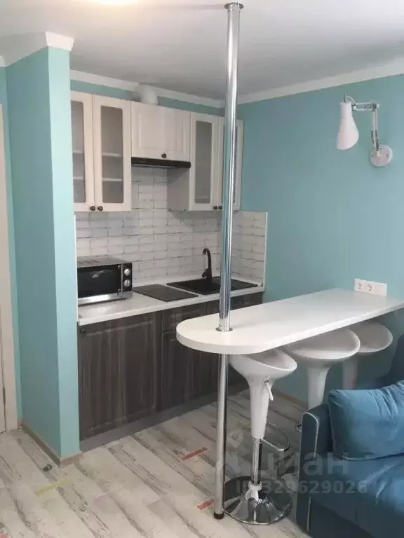 1-к кв. Краснодарский край, Сочи Нижняя Хобза мкр, пер. ... - Фото 2