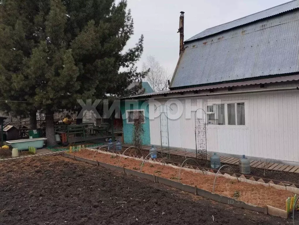 Дом в Новосибирская область, Новосибирский район, Каменский сельсовет, ... - Фото 0