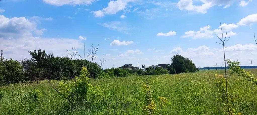 Участок, 10 сот., сельхоз (снт или днп) - Фото 2