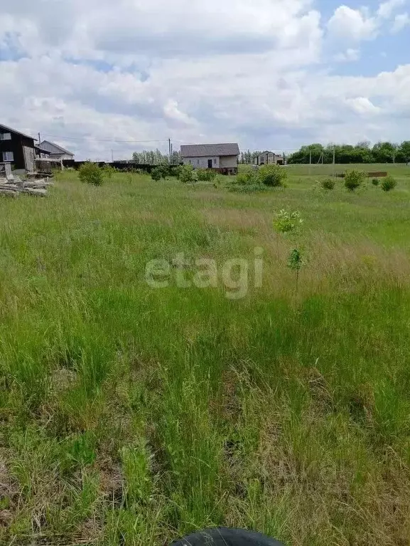 Участок в Белгородская область, Яковлевский муниципальный округ, с. ... - Фото 1