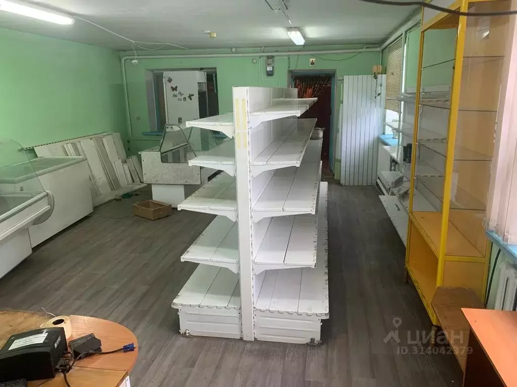 Помещение свободного назначения в Новосибирская область, Коченевский ... - Фото 2