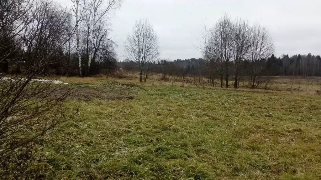 Участок в Московская область, Можайский муниципальный округ, д. ... - Фото 1