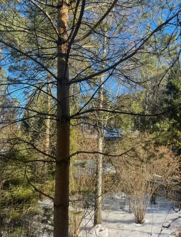 Участок в Московская область, Одинцовский городской округ, д. Жуковка, ... - Фото 2