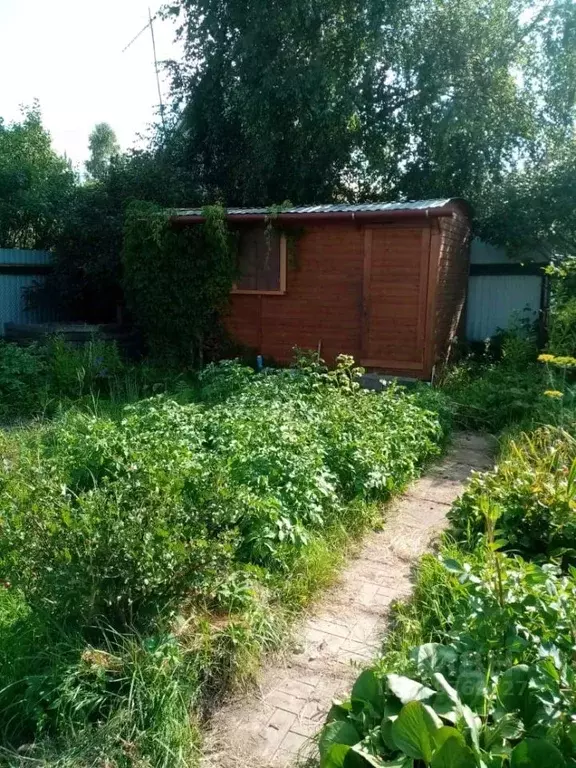 Дом в Московская область, Солнечногорск городской округ, Лесное ... - Фото 1