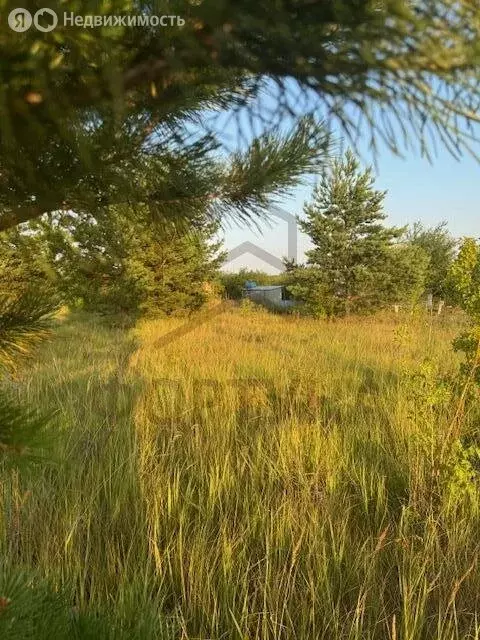 Участок в Рамонский район, Горожанское сельское поселение, ПСК ... - Фото 0