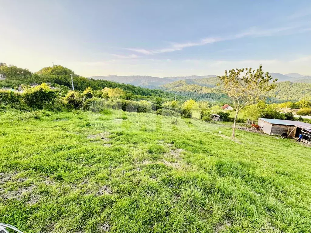 Участок в Краснодарский край, Сочи городской округ, с. Красная Воля ... - Фото 2