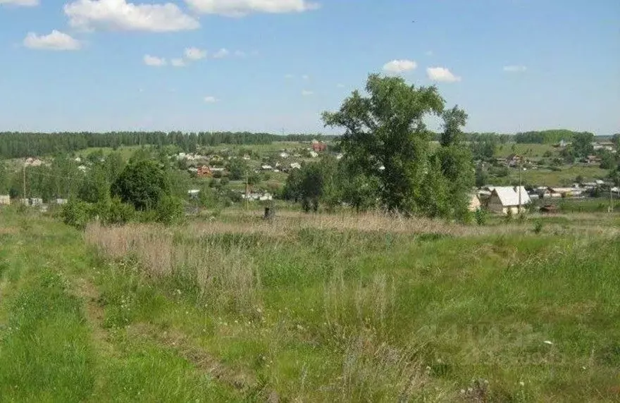 Участок в Свердловская область, Каменский городской округ, с. ... - Фото 0