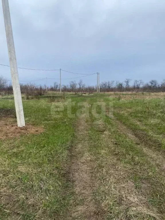 Участок в Ростовская область, Азов Азовский район, Х-Виллаж кп,  (12.0 ... - Фото 1