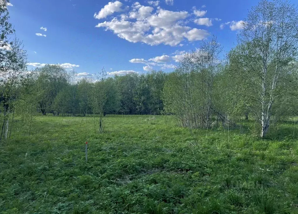 Участок, 20 сот., поселения (ижс) - Фото 2