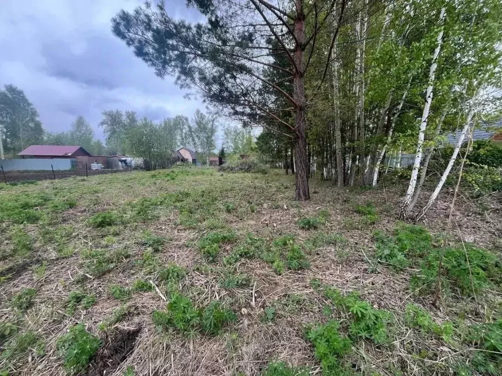 Участок в Новосибирская область, Новосибирский район, Барышевский ... - Фото 2