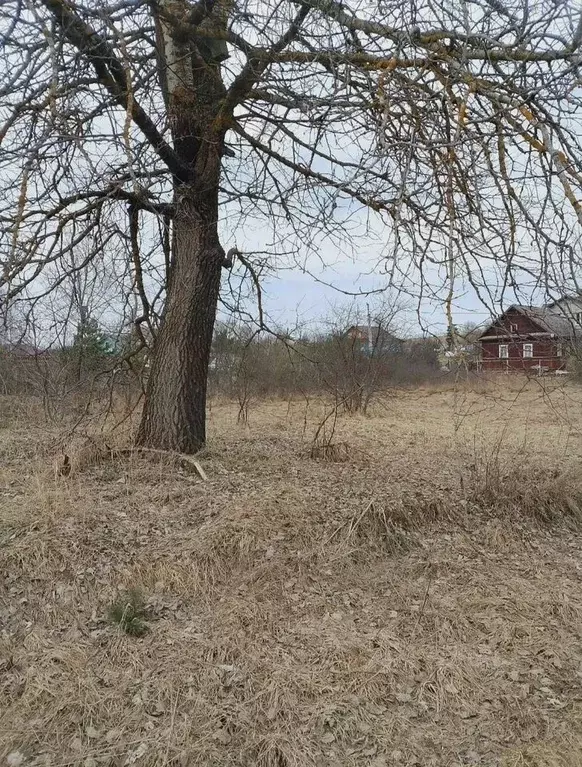 Участок в Новгородская область, Боровичский муниципальный район, ... - Фото 1