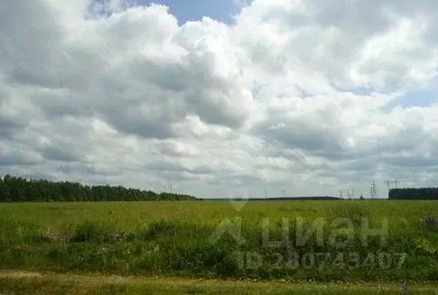 Участок в Владимирская область, Киржачский район, с. Филипповское  ... - Фото 1