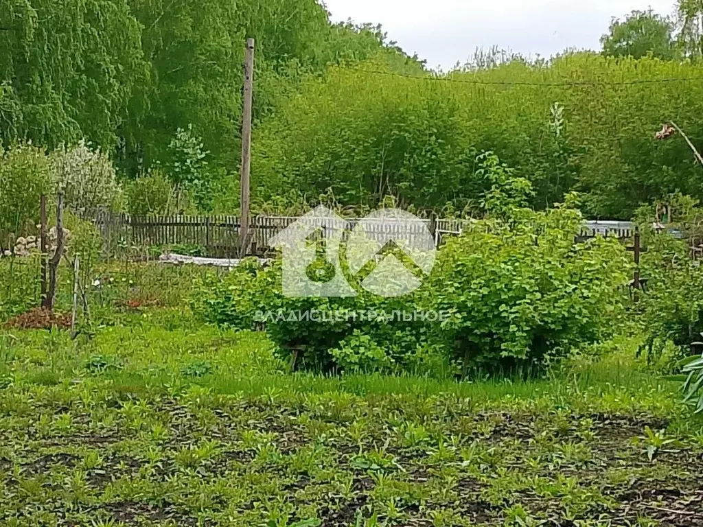 Дом в Новосибирская область, Искитим Связист садовое товарищество, ул. ... - Фото 0