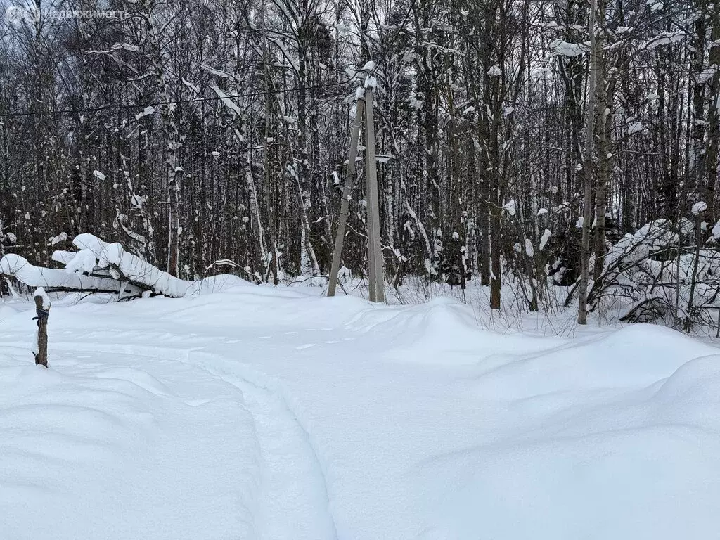 Участок в Владимирская область, Александровский муниципальный округ, ... - Фото 1