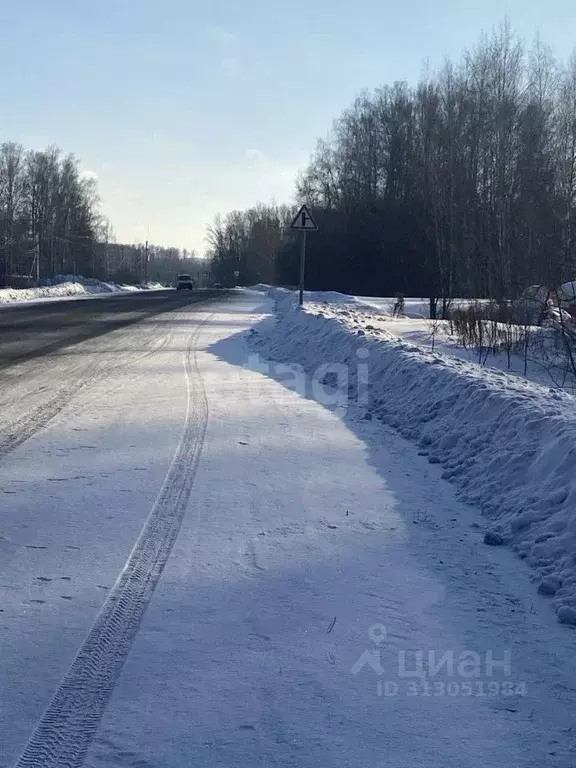 Участок в Новосибирская область, Новосибирск Ветеран СНТ,  (6.0 сот.) - Фото 1