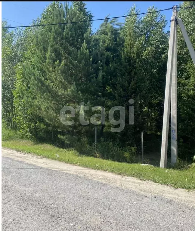 Участок в Алтайский край, Первомайский район, с. Санниково ул. ... - Фото 2