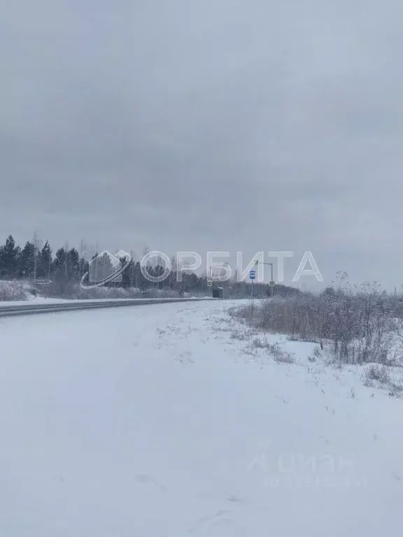 Участок в Тюменская область, Тюменский муниципальный округ, д. ... - Фото 2