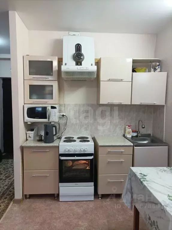 Студия Ямало-Ненецкий АО, Муравленко ул. 70 лет Октября, 45 (25.0 м) - Фото 2