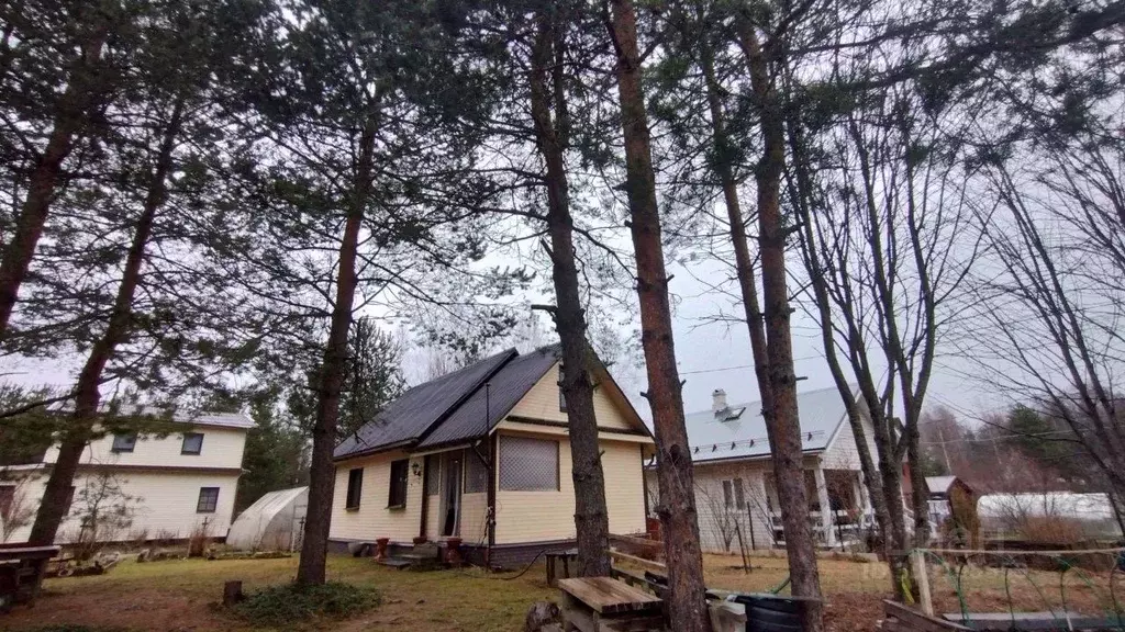 Дом в Ленинградская область, Всеволожский район, Сертоловское ... - Фото 0