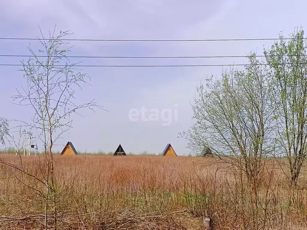 Дом в Калининградская область, Багратионовский муниципальный округ, ... - Фото 2