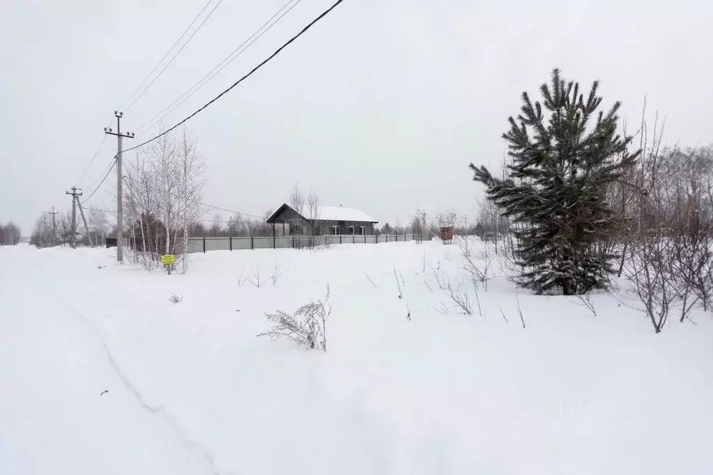 Участок в Новосибирская область, Бердск  (9.97 сот.) - Фото 1