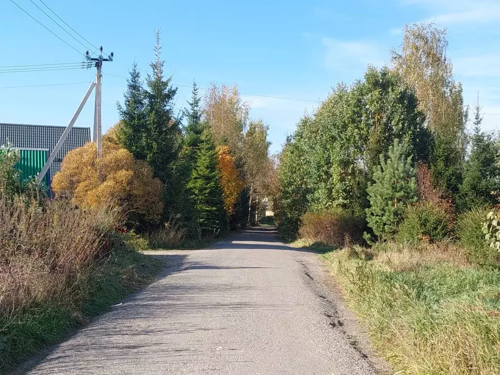 Участок в Московская область, Дмитровский муниципальный округ, д. ... - Фото 1