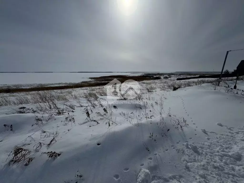 Участок в Новосибирская область, Ордынский район, Порт Пичуги кп ул. ... - Фото 1