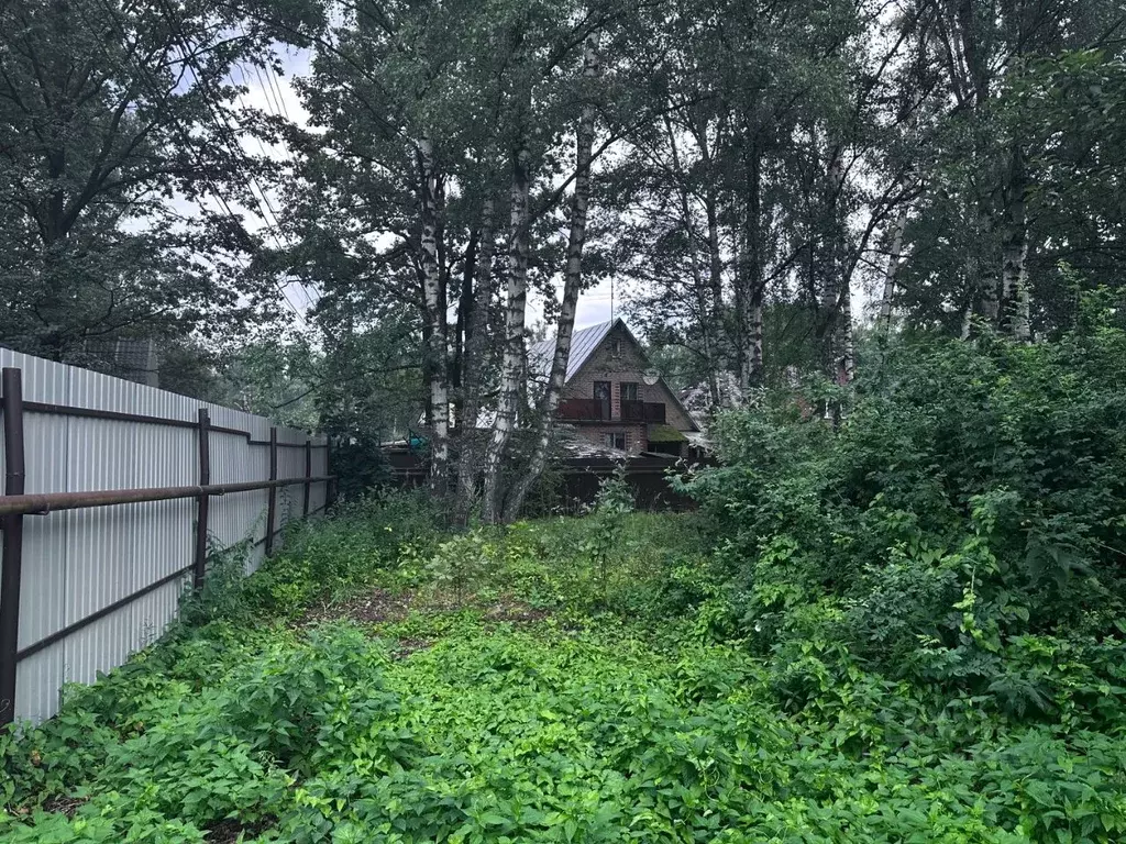 Участок в Московская область, Мытищи городской округ, д. Грибки туп. ... - Фото 1