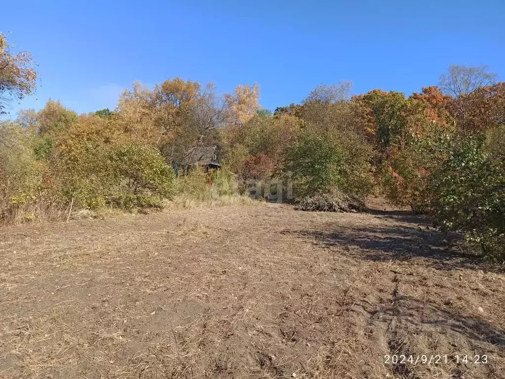 Участок в Амурская область, Благовещенск Автомобилист СТ,  (7.5 сот.) - Фото 0