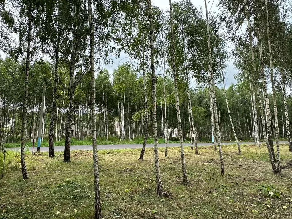 Участок в Московская область, Домодедово городской округ, с. Никитское ... - Фото 0