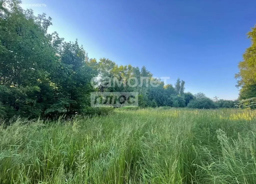 Участок в Ленинский городской округ, КП Квартал Суханово (12 м) - Фото 2