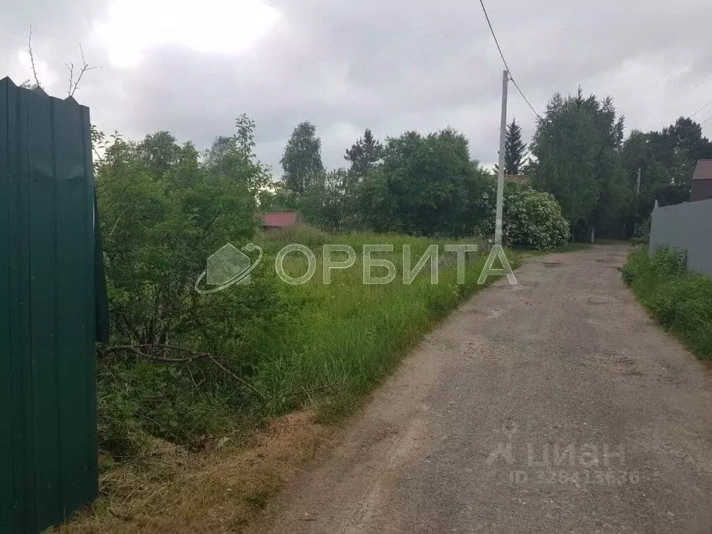 Участок в Тюменская область, Нижнетавдинский муниципальный округ, ... - Фото 1