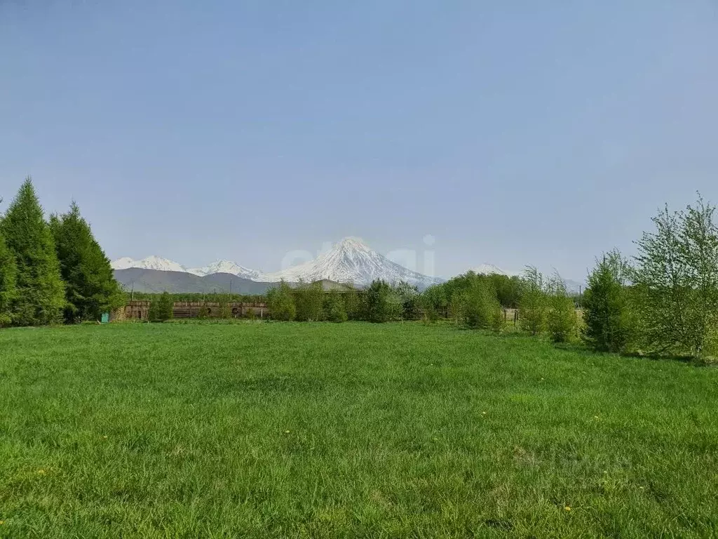 Участок в Камчатский край, Елизовский муниципальный округ, пос. ... - Фото 1