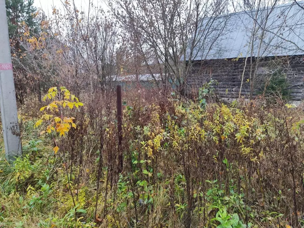 Участок в Московская область, Раменский муниципальный округ, д. ... - Фото 1