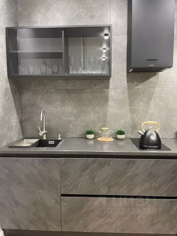 1-к кв. Новосибирская область, Новосибирск Красный просп., 104 (45.0 ... - Фото 2