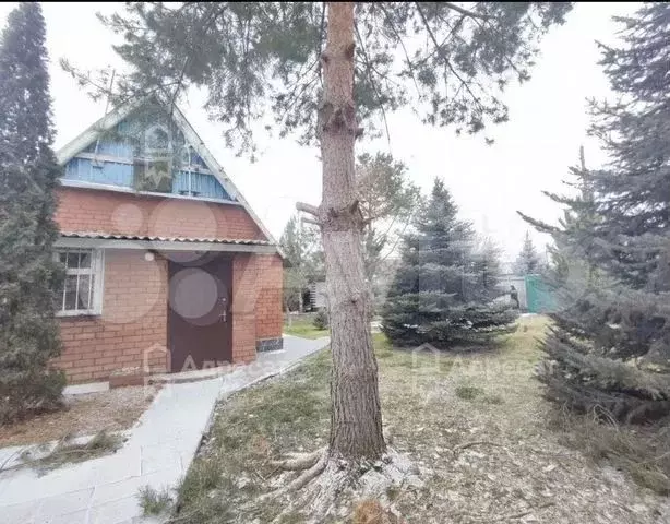 Дача 50 м на участке 6 сот. - Фото 0