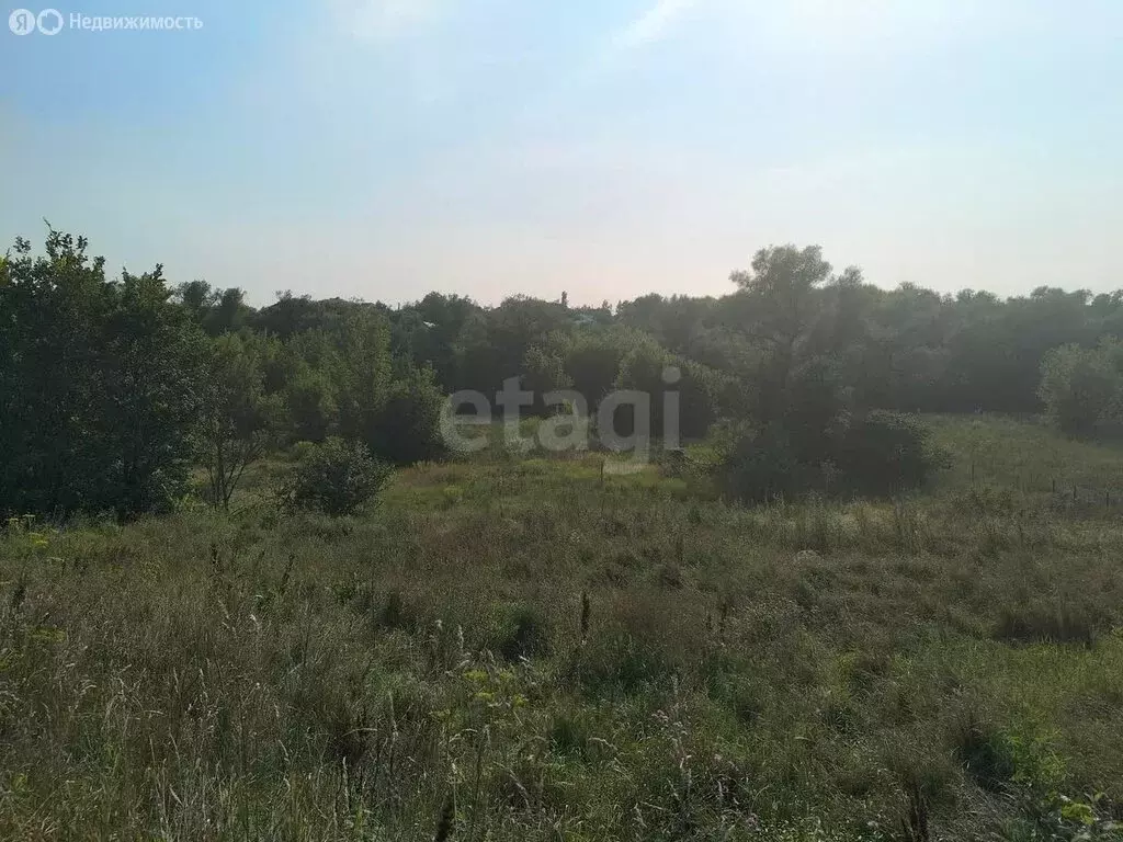Участок в Хохольский район, село Костёнки, Набережная улица (39.93 м) - Фото 1