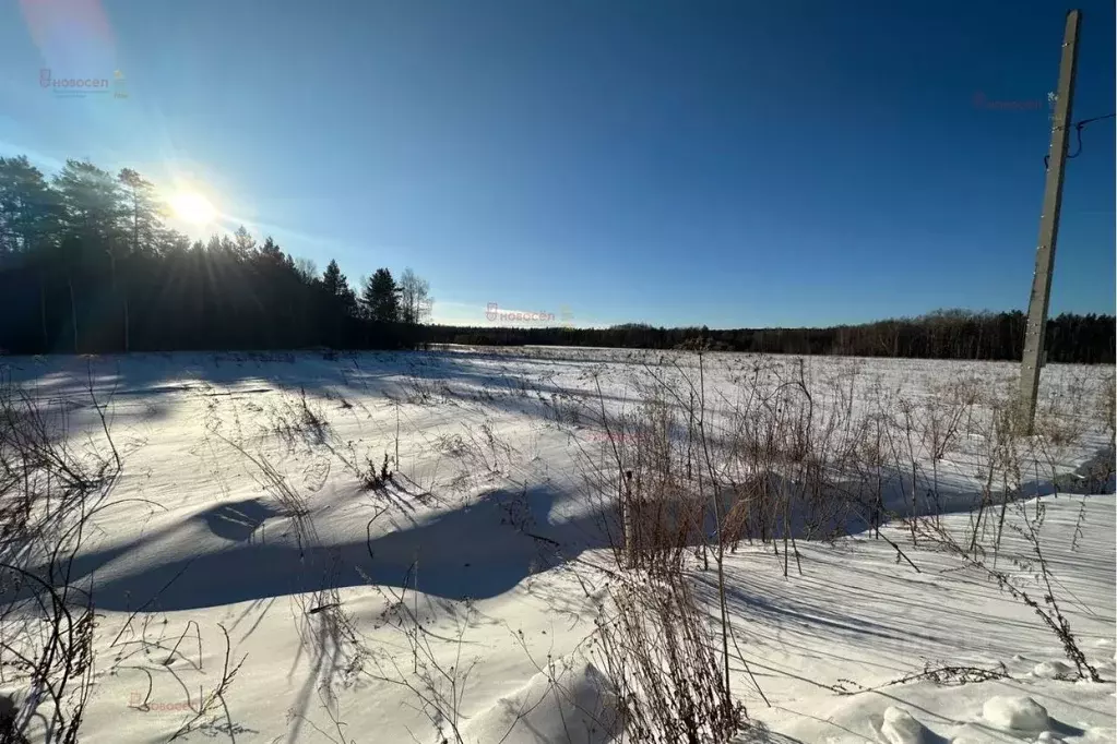 Участок в Свердловская область, Полевской городской округ, с. ... - Фото 1