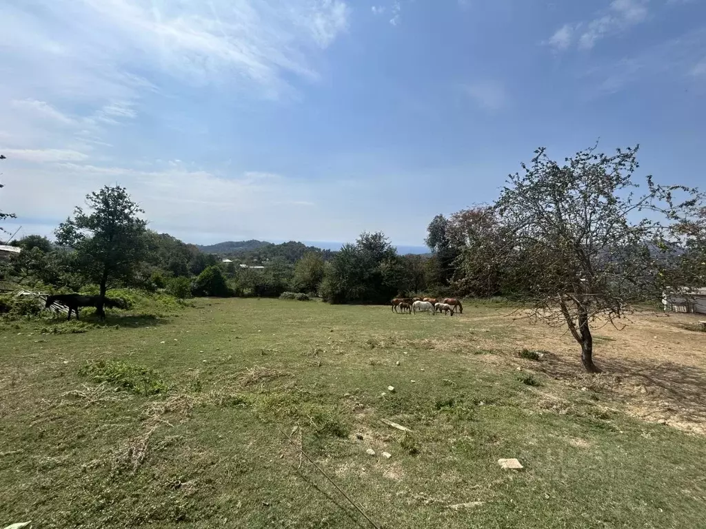 Участок в Краснодарский край, Сочи городской округ, с. Вардане-Верино  ... - Фото 1